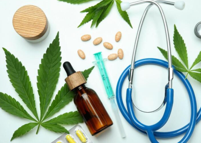Novo marco regulatório amplia caminhos para produção de cannabis medicinal no Brasil