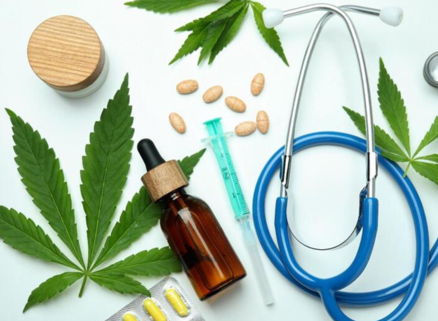 Novo marco regulatório amplia caminhos para produção de cannabis medicinal no Brasil